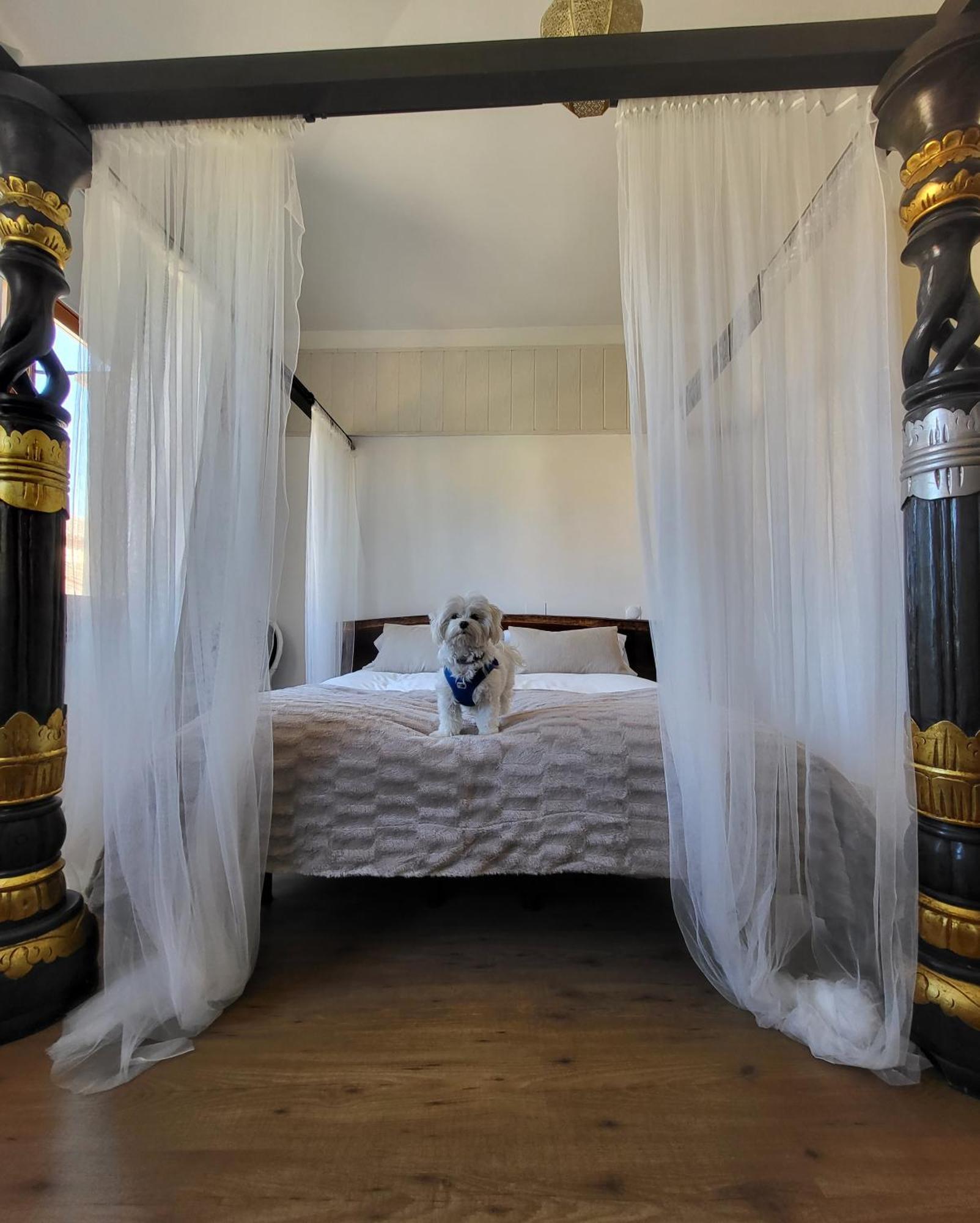 Hotel Rural Luna Llena Torremocha de Jarama Δωμάτιο φωτογραφία