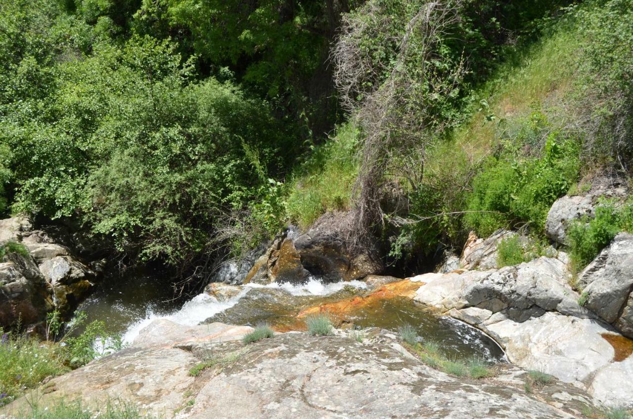 Hotel Rural Luna Llena Torremocha de Jarama Εξωτερικό φωτογραφία