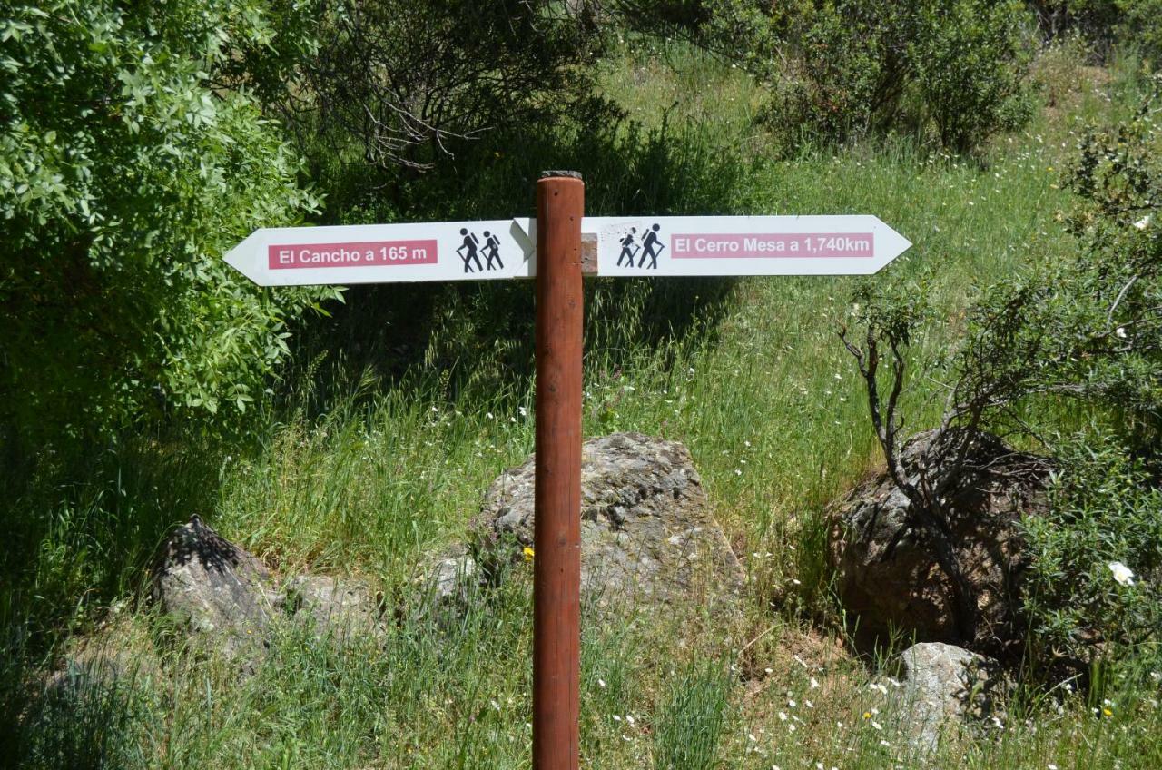 Hotel Rural Luna Llena Torremocha de Jarama Εξωτερικό φωτογραφία